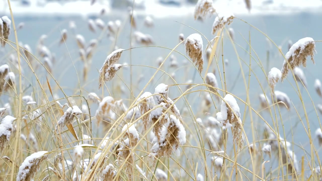 北京颐和园冬季雪景视频素材