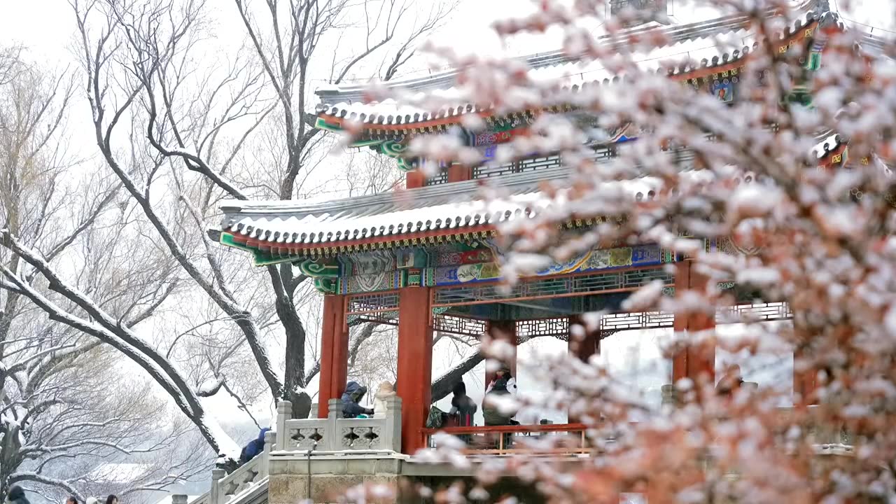 北京颐和园冬季雪景视频素材