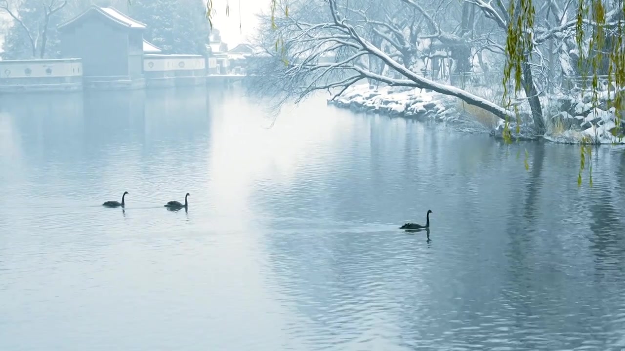 北京颐和园冬季雪景视频素材