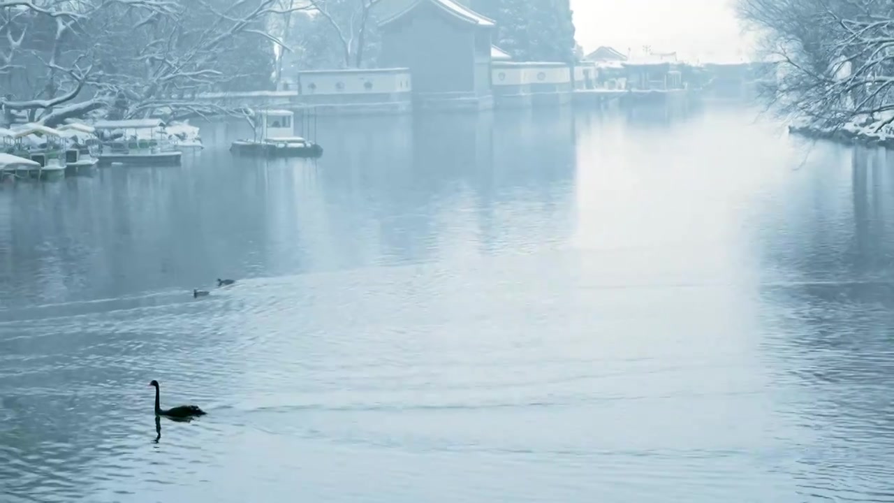 北京颐和园冬季雪景视频素材