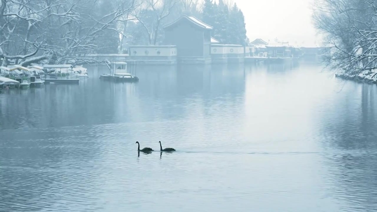 北京颐和园冬季雪景视频素材