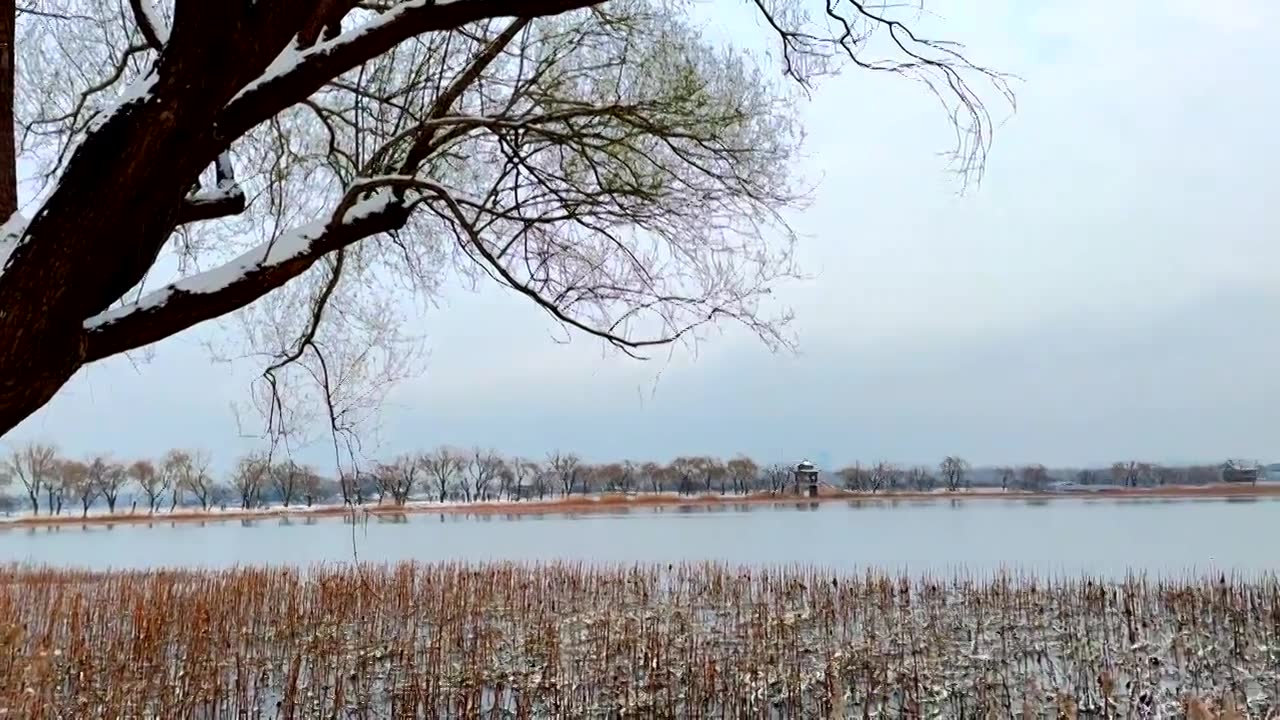 北京颐和园冬季雪景视频素材