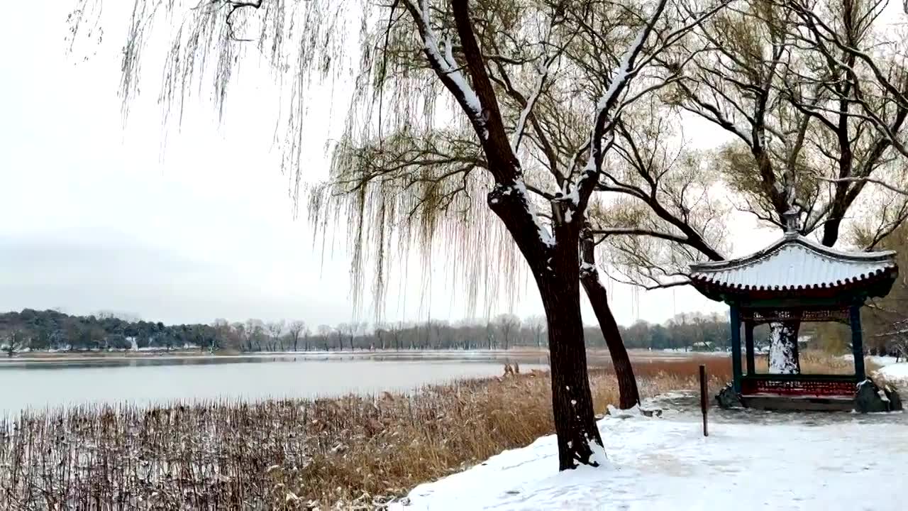 北京颐和园冬季雪景视频素材