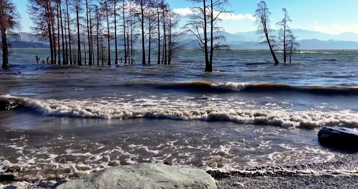 （慢镜头）大理洱海水杉波浪波纹唯美航拍视频素材