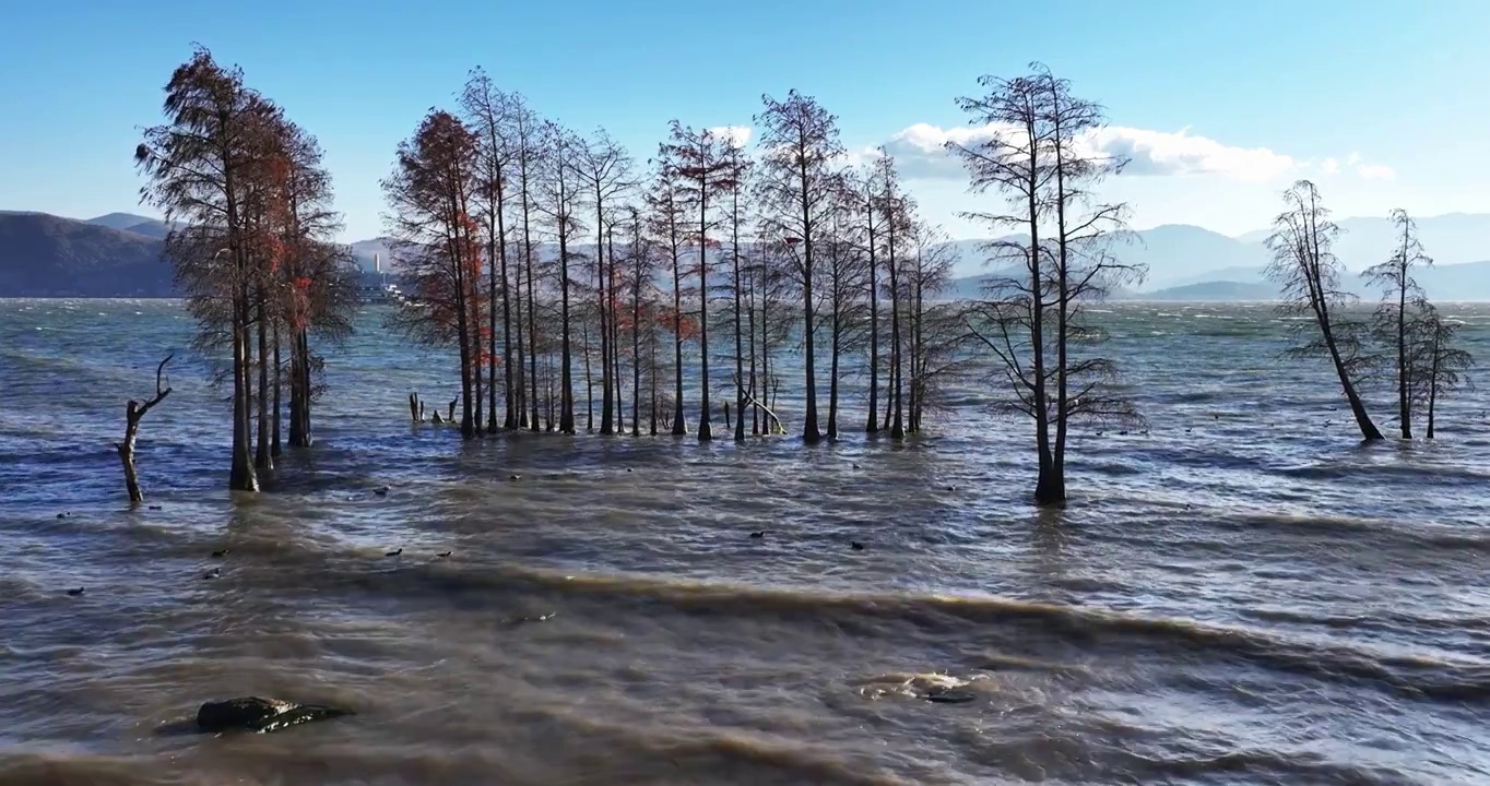 （慢镜头）大理龙龛村龙龛码头洱海风光视频素材