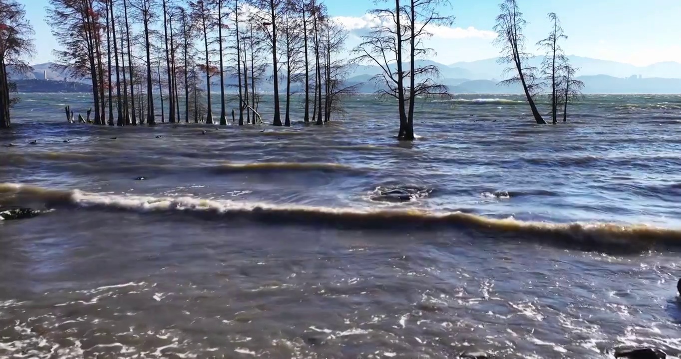 （慢镜头）大理洱海水杉波浪波纹航拍视频素材