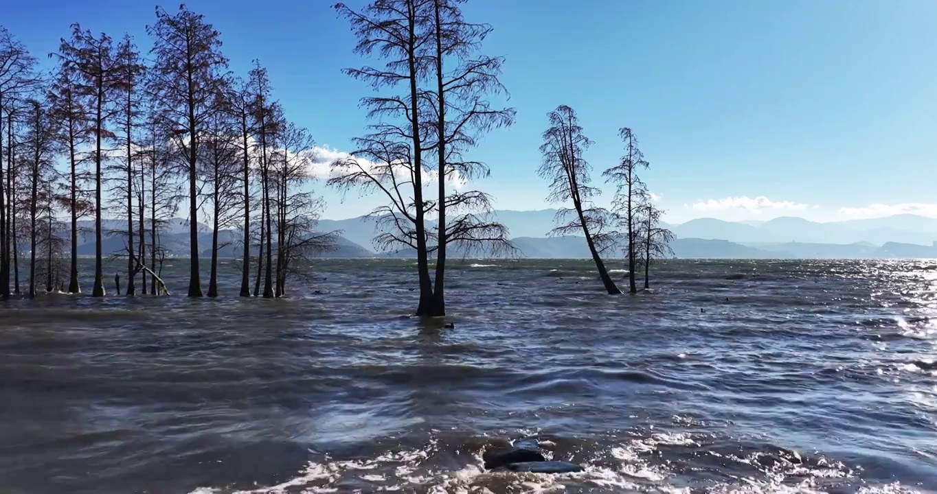 （慢镜头）大理龙龛村龙龛码头洱海风光视频素材