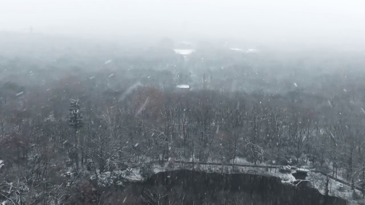 南京灵谷寺雪景视频素材