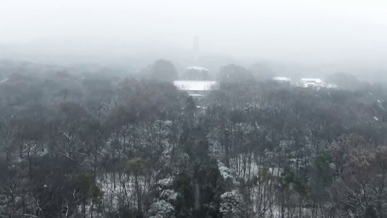 南京灵谷寺雪景视频素材