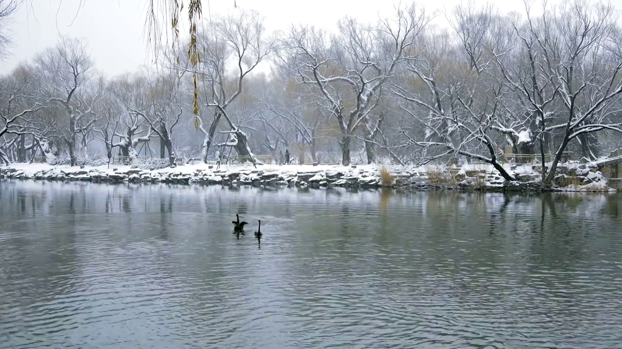 升格拍摄北京颐和园冬季雪景视频素材