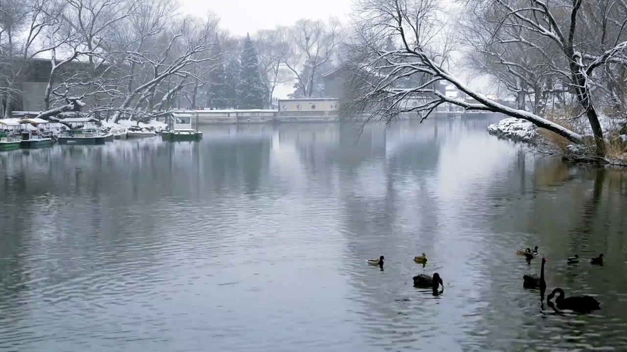 升格拍摄北京颐和园冬季雪景视频素材