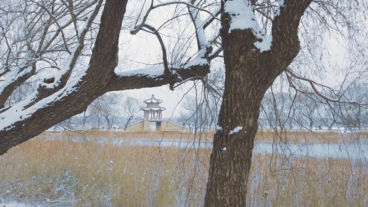 升格拍摄北京颐和园冬季雪景视频素材