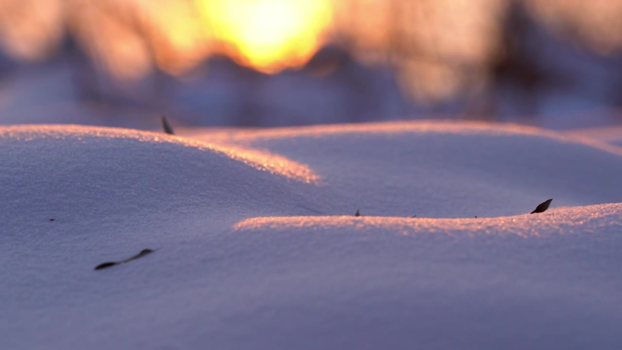 冬天唯美雪地特写视频素材