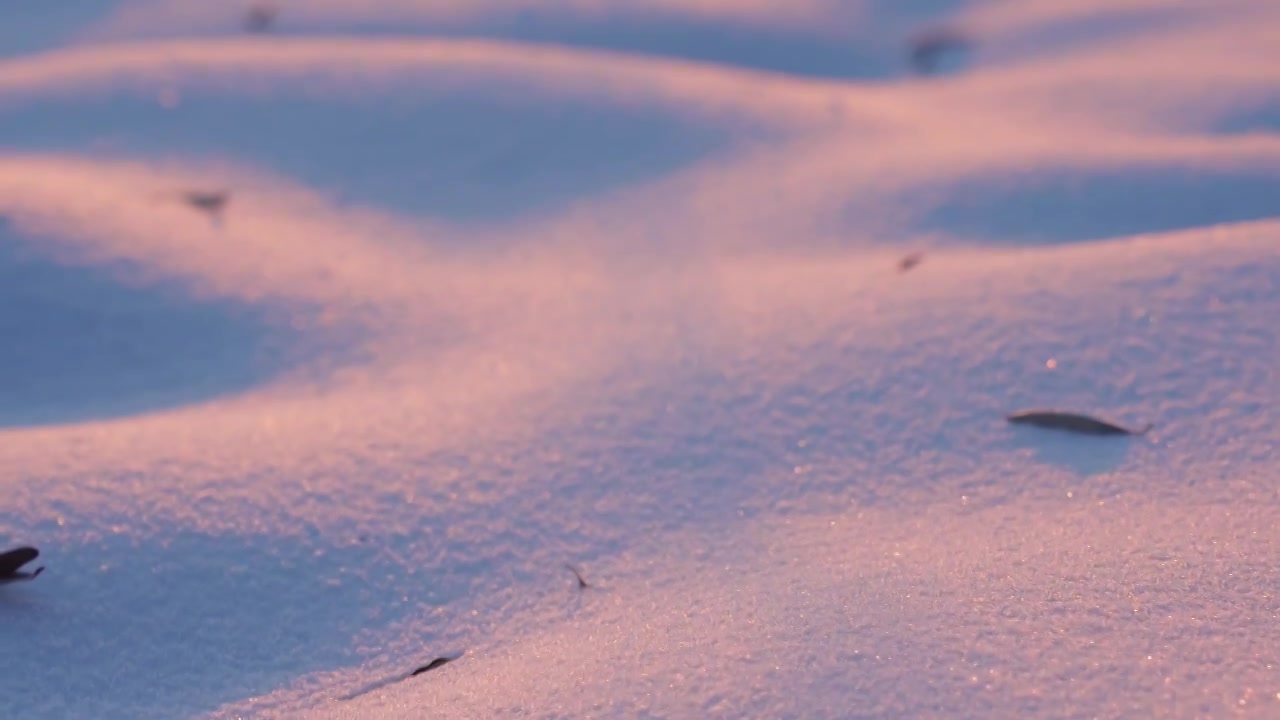 冬天唯美雪地特写视频素材