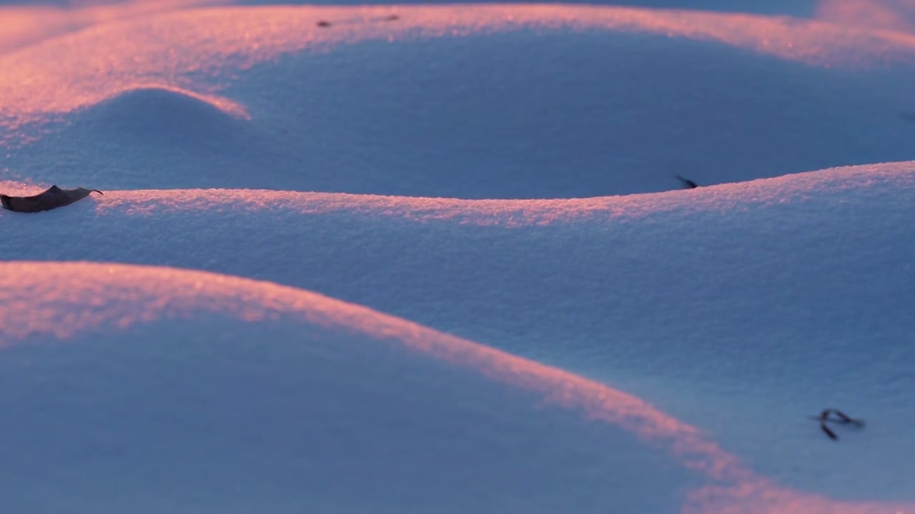 冬天唯美雪地特写视频素材