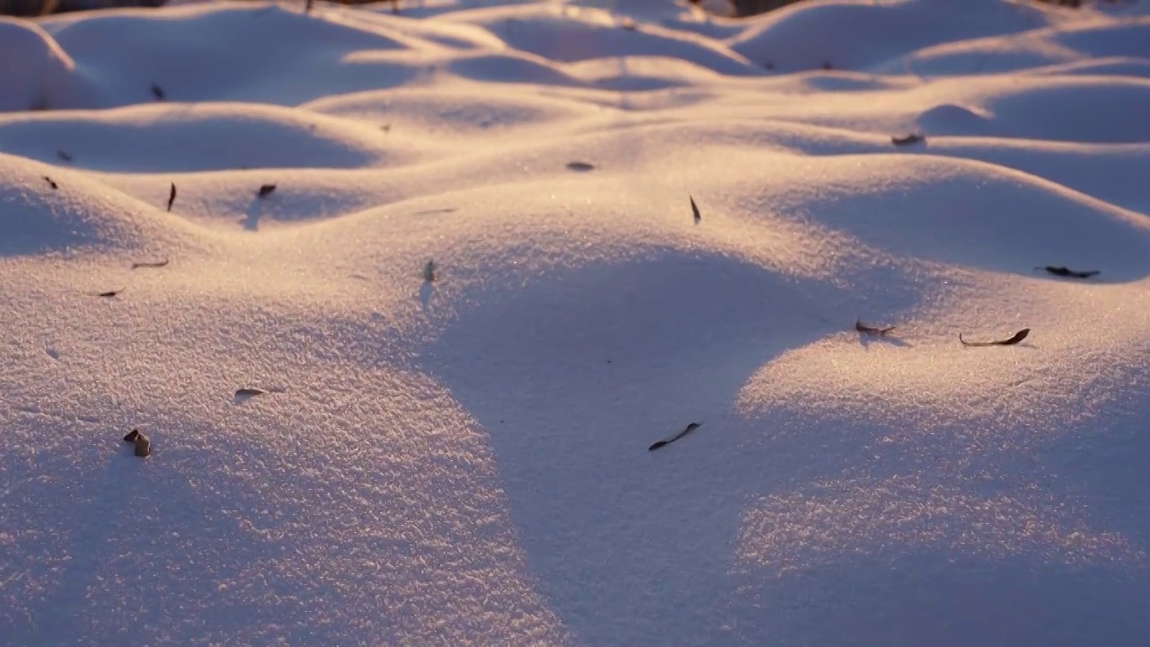 冬天唯美雪地特写视频素材