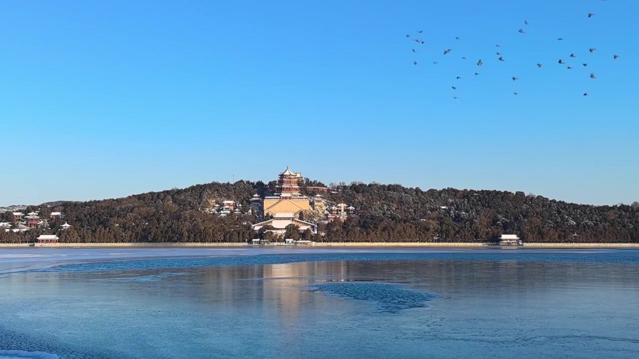 冬天的颐和园佛香阁和飞鸟视频素材