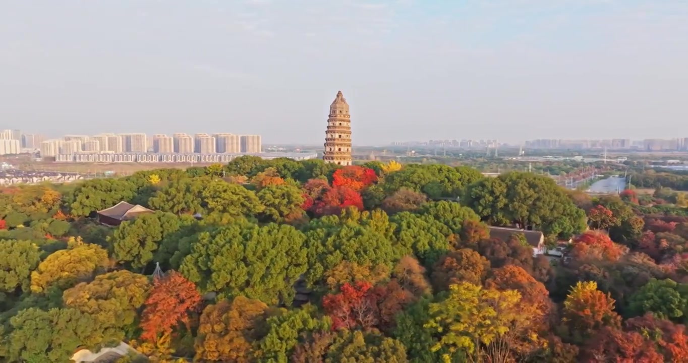 秋天的虎丘山风景名胜区航拍视频素材