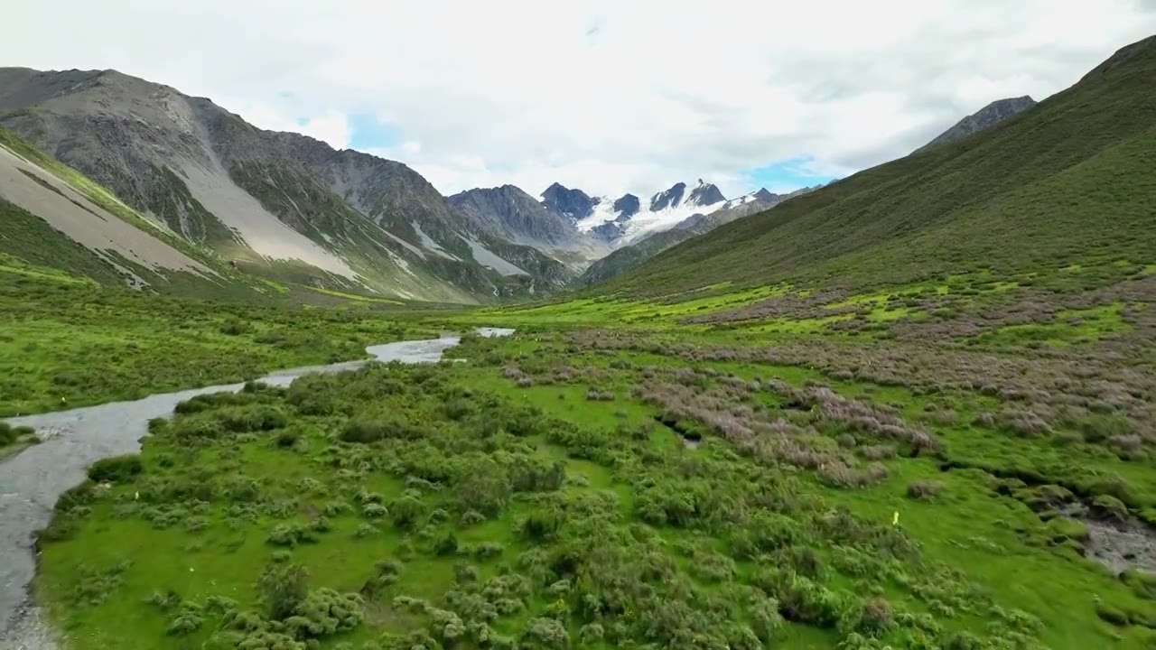 航拍四川甘孜理塘阿萨贡格雪山下的草原河流视频素材