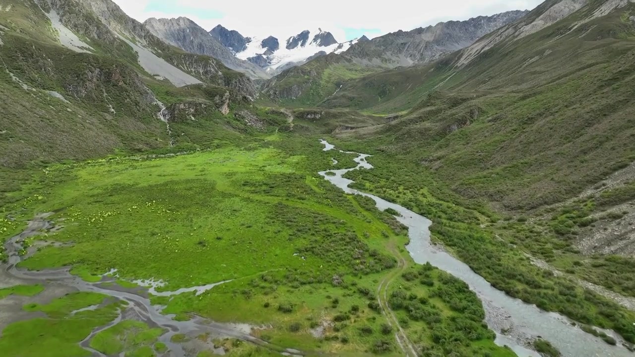 航拍四川甘孜理塘阿萨贡格雪山下的草原河流视频素材