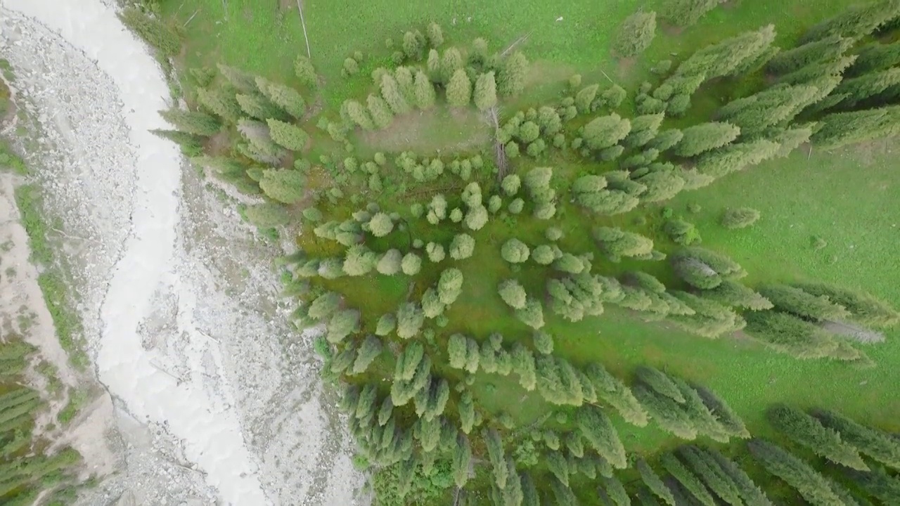 风景绝美的夏塔古道——木扎尔特冰川融水形成的河流与森林、草原视频素材