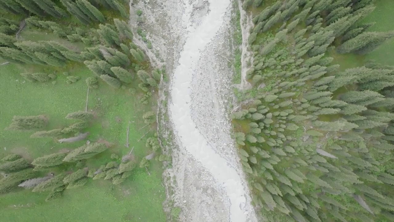 风景绝美的夏塔古道——木扎尔特冰川融水形成的河流与森林、草原视频素材