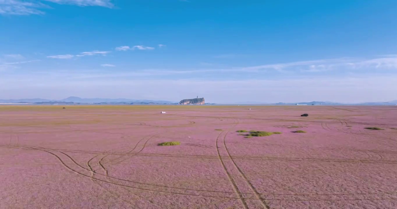 鄱阳湖蓼子花海中的鞋山定向航拍延时视频素材