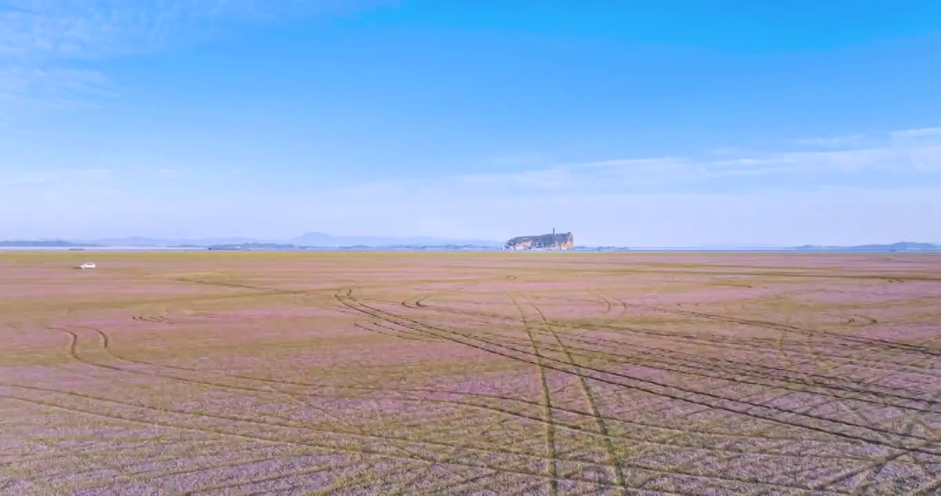 鄱阳湖鞋山粉色湖滩航拍延时视频素材