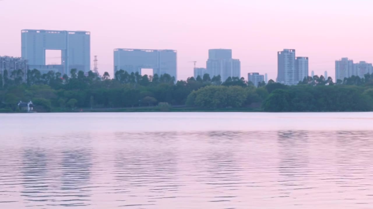 广州海珠湖公园落羽杉与夕阳落日视频素材