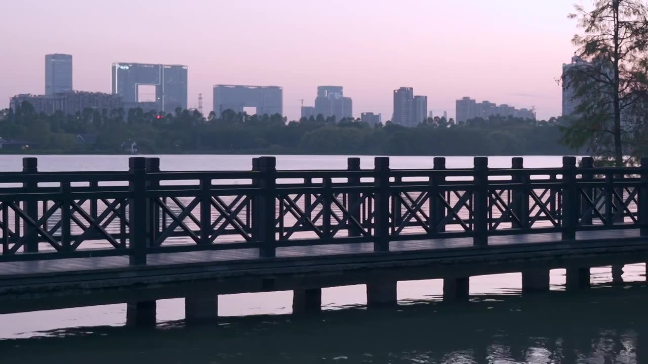 广州海珠湖公园落羽杉与夕阳落日视频素材