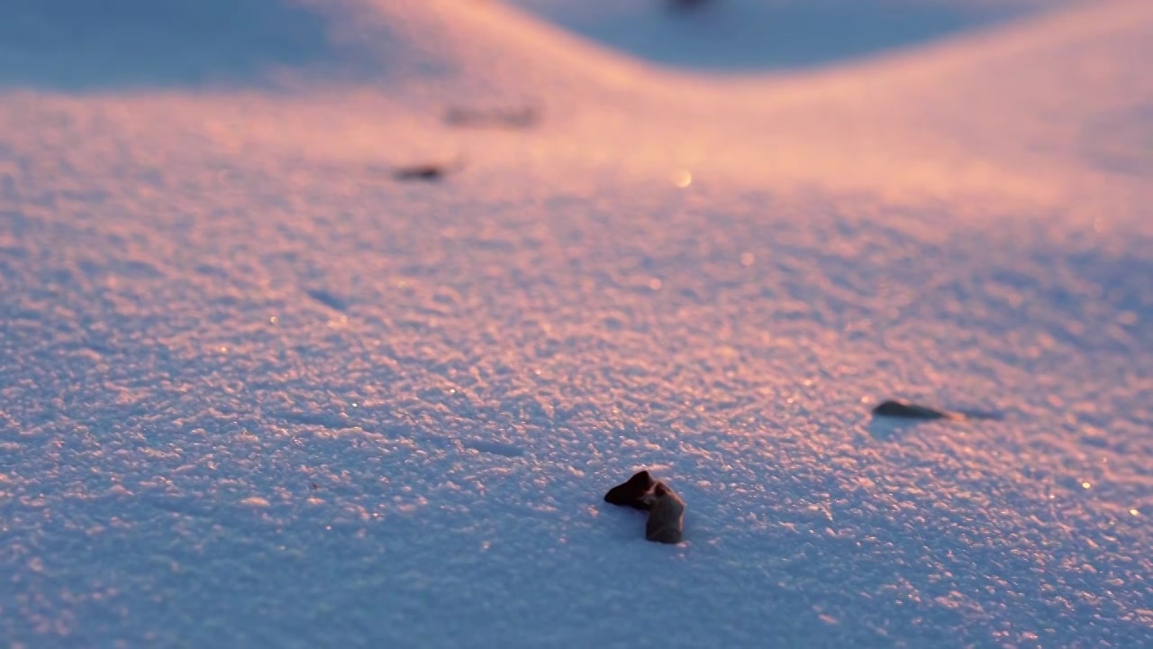 唯美雪地空镜视频素材