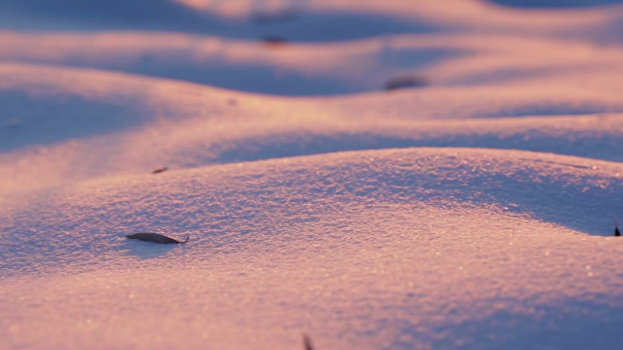 唯美雪地空镜视频素材