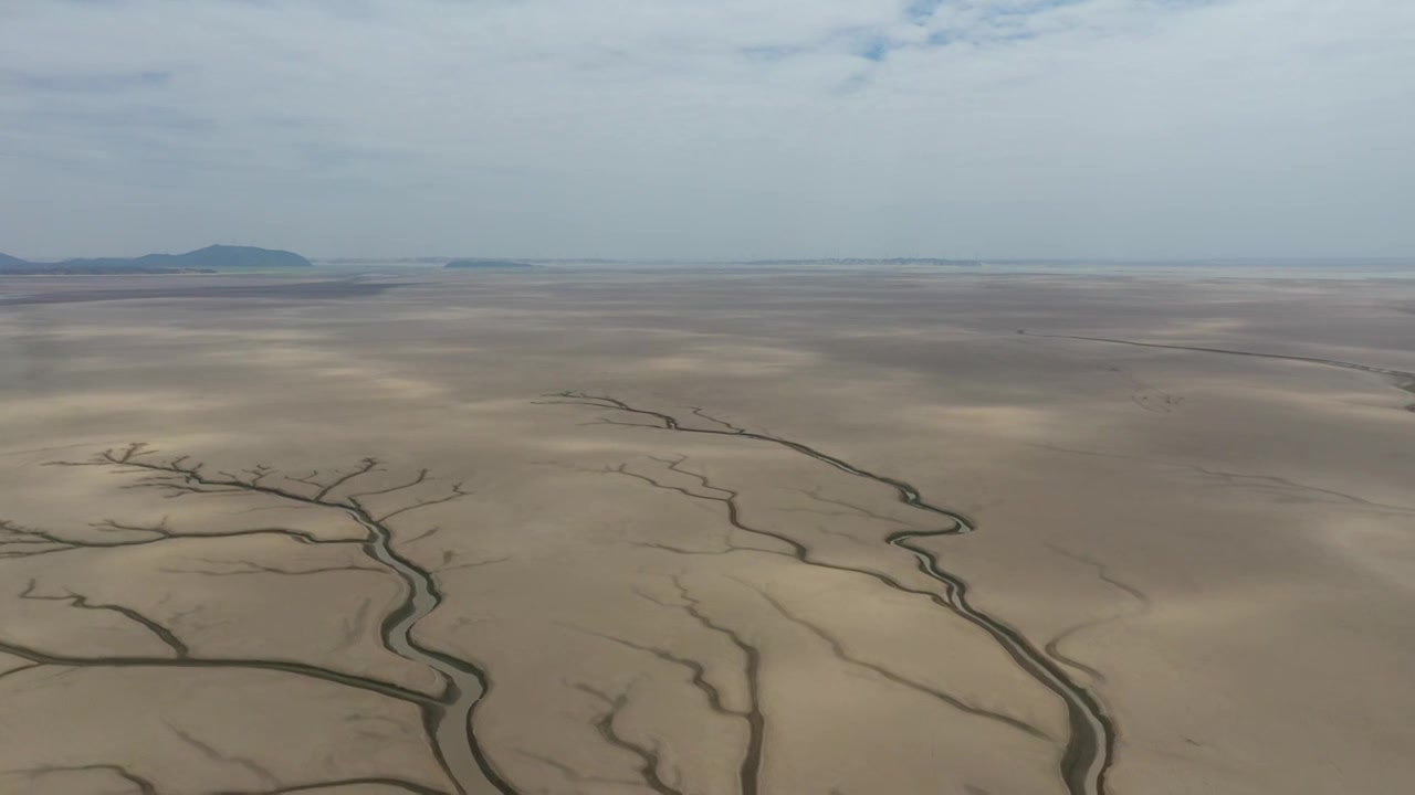 鄱阳湖枯水季沙洲上显现生命之树的航拍视频视频素材