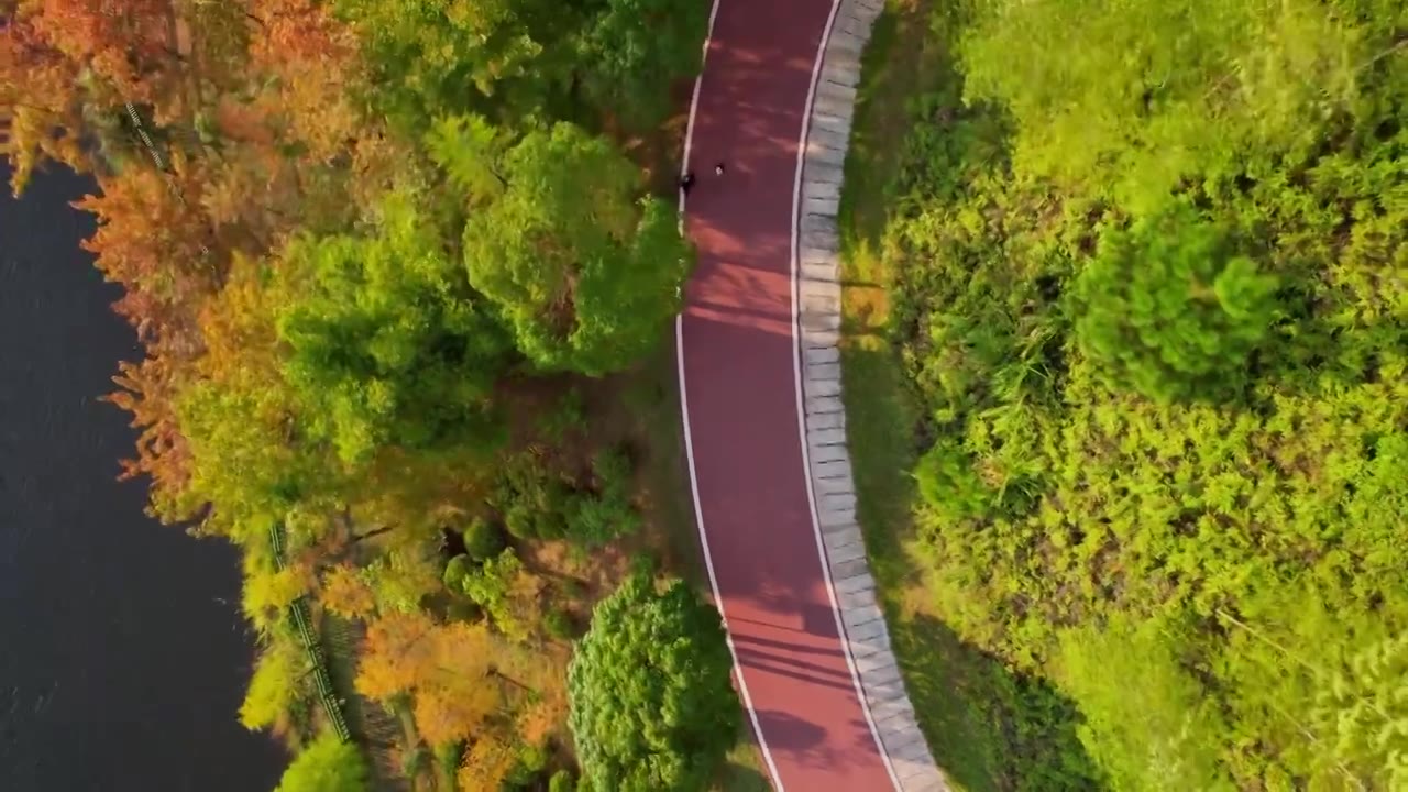 福建龙岩古田山庄秋天的景色视频素材