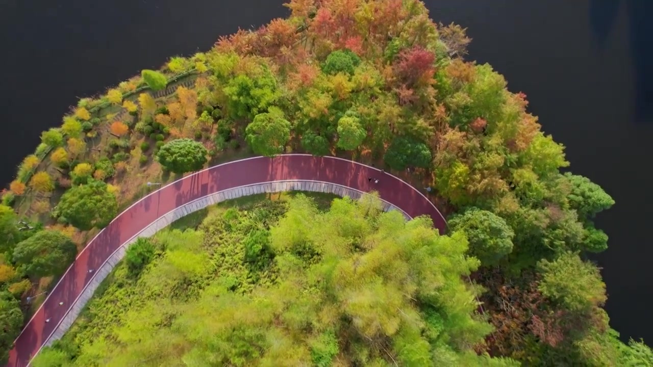 福建龙岩古田山庄秋天的景色视频素材