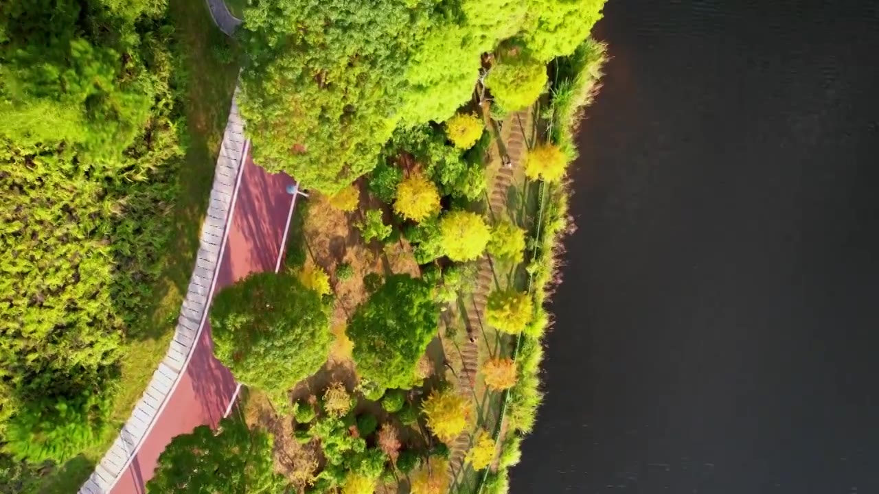 福建龙岩古田山庄秋天的景色视频下载