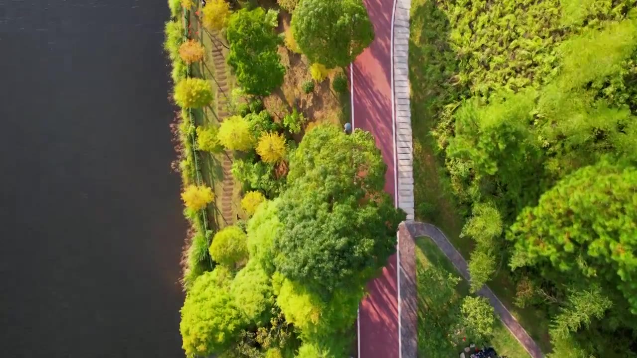 福建龙岩古田山庄秋天的景色视频素材