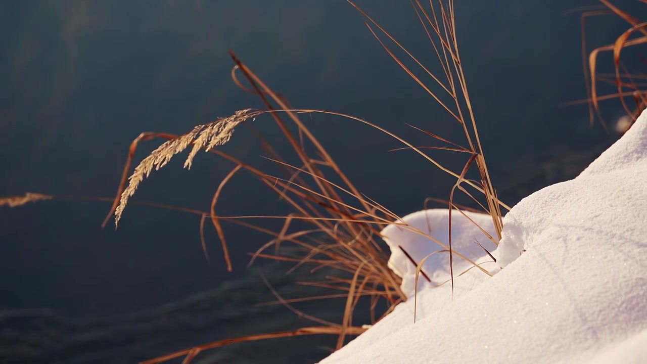 冬天唯美雪地空镜视频素材