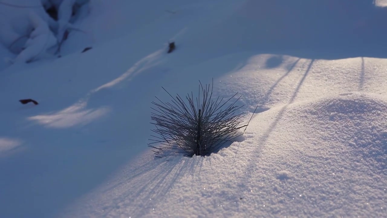 冬天唯美雪地空镜视频素材