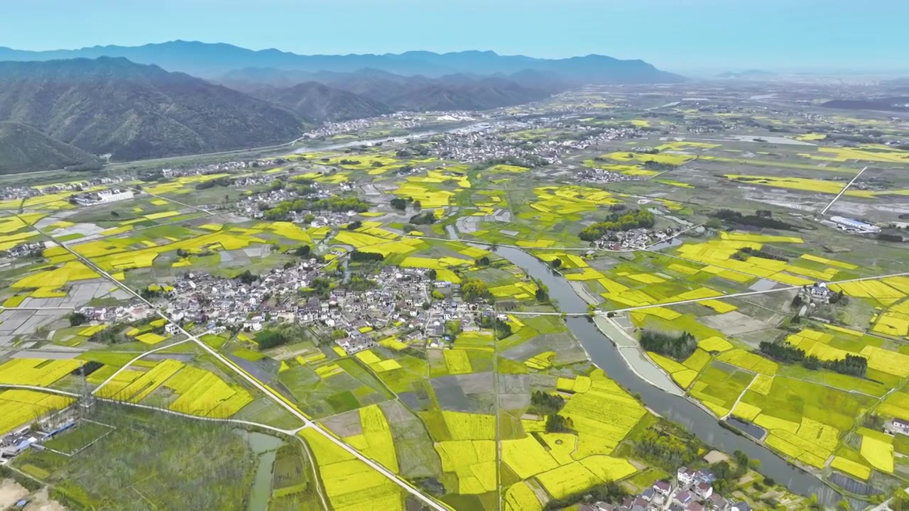 春天山区乡村油菜花盛开视频素材