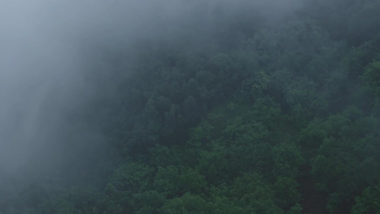 秦岭云海航拍视频素材