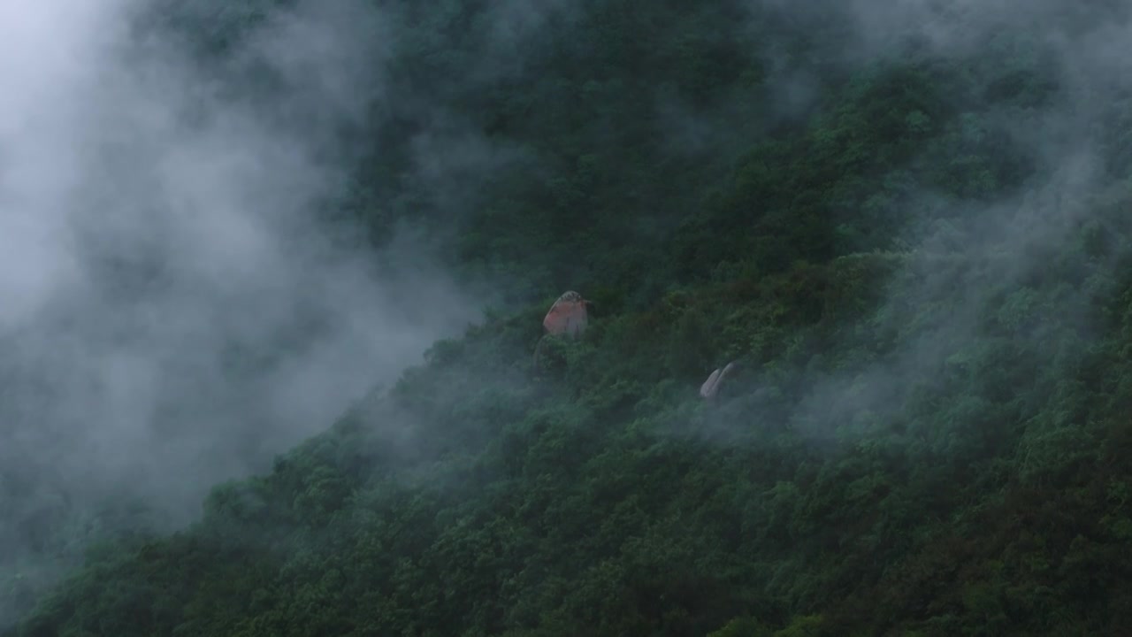 秦岭云海航拍视频素材