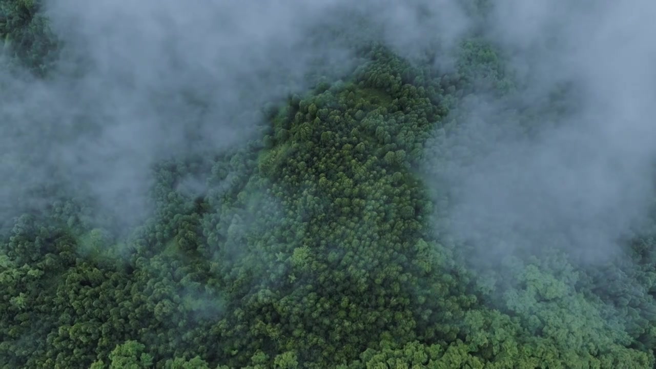 秦岭云海航拍视频素材