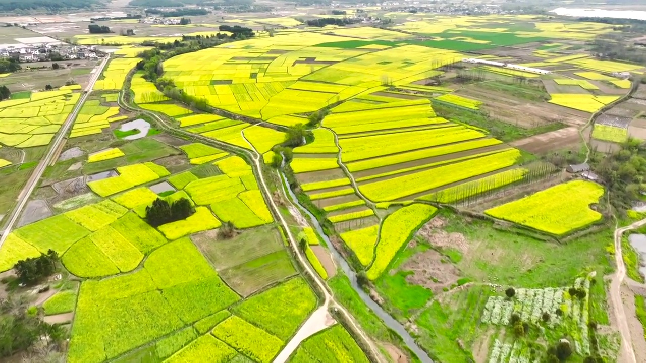 农田梯田油菜花航拍视频素材