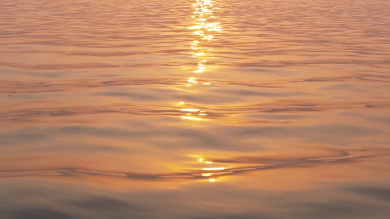 夕阳中波光粼粼的水面视频素材