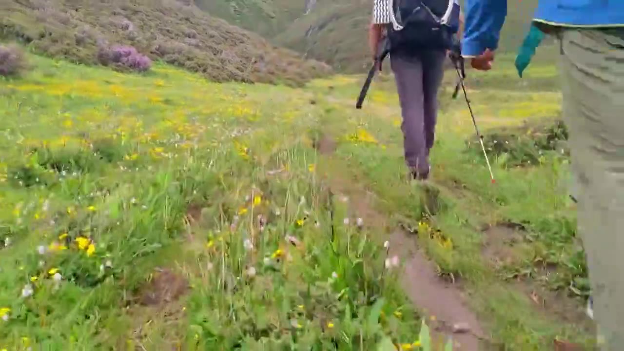 攀登阿沙贡格雪山的登山者徒步行走在花海中视频素材