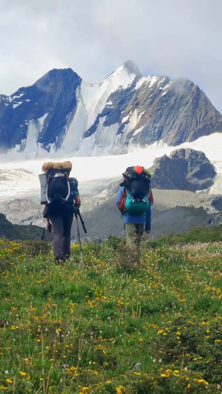 攀登阿沙贡格雪山的登山者徒步行走在花海中视频素材