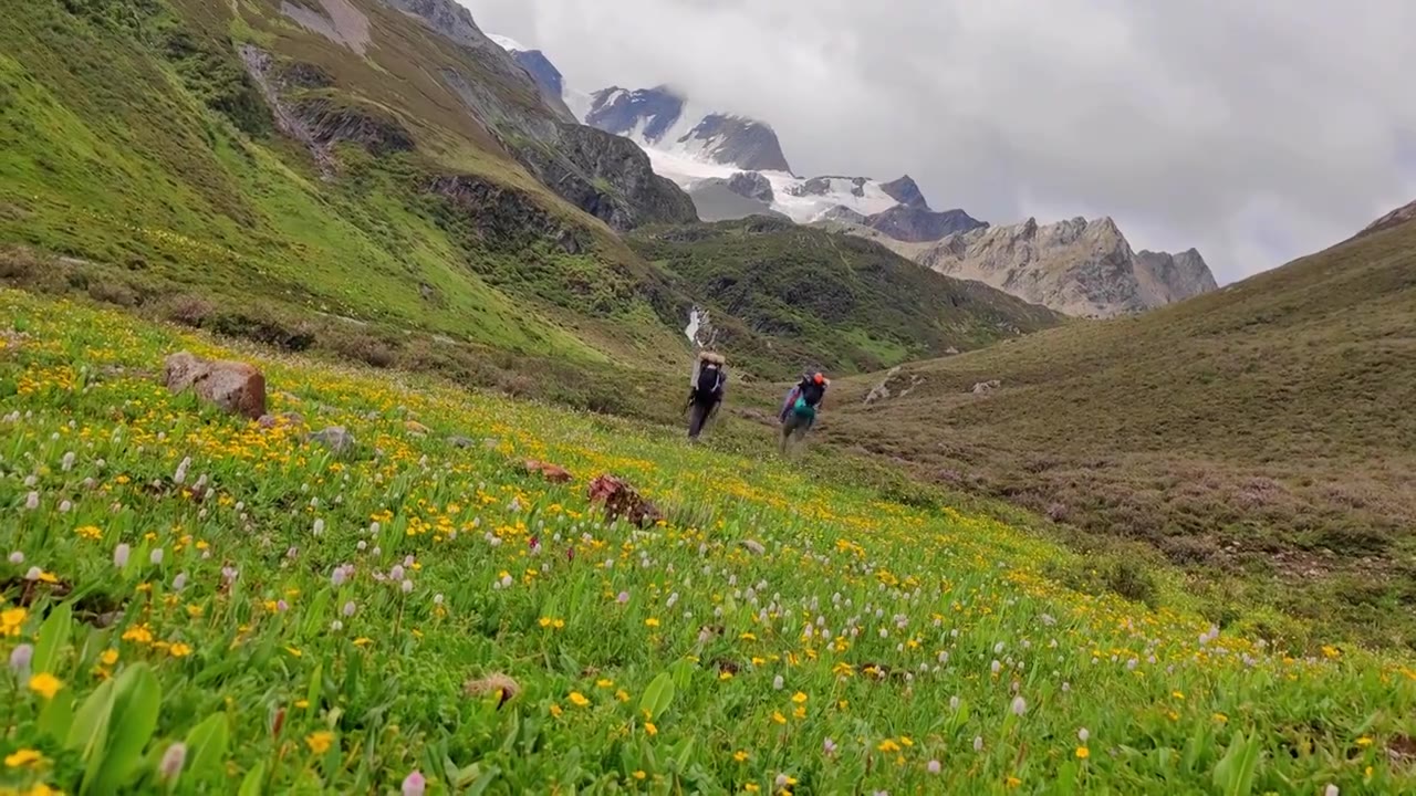 攀登阿沙贡格雪山的登山者徒步行走在花海中视频素材