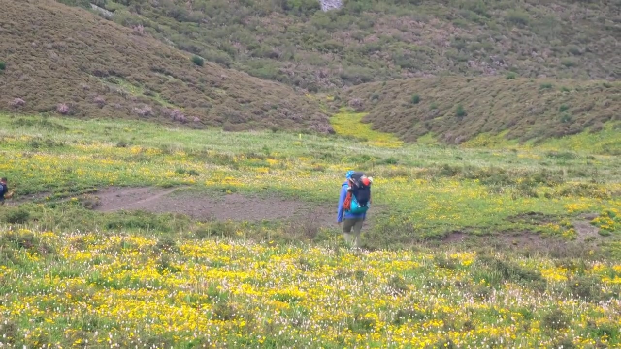 攀登阿沙贡格雪山的登山者徒步行走在花海中视频素材