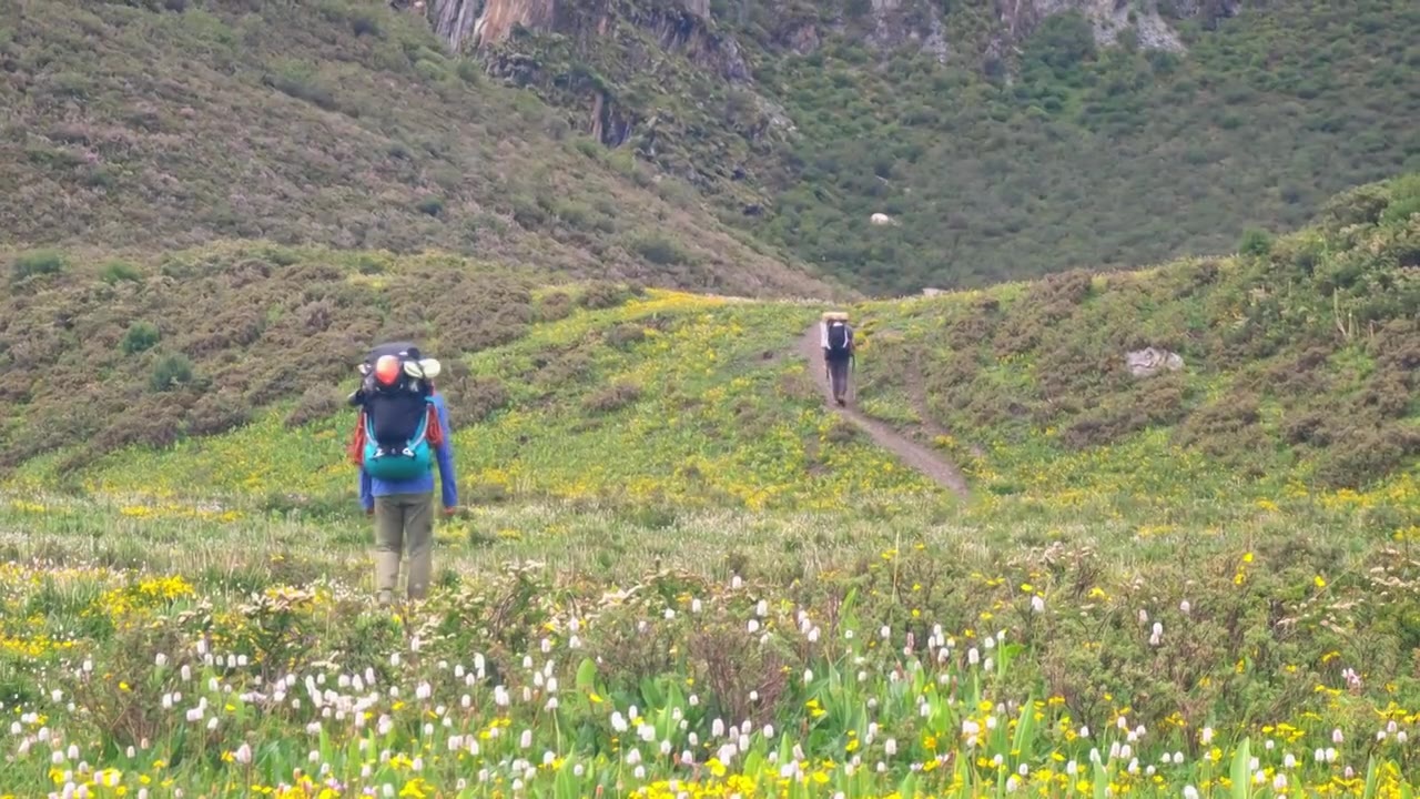 攀登阿沙贡格雪山的登山者徒步行走在花海中视频素材